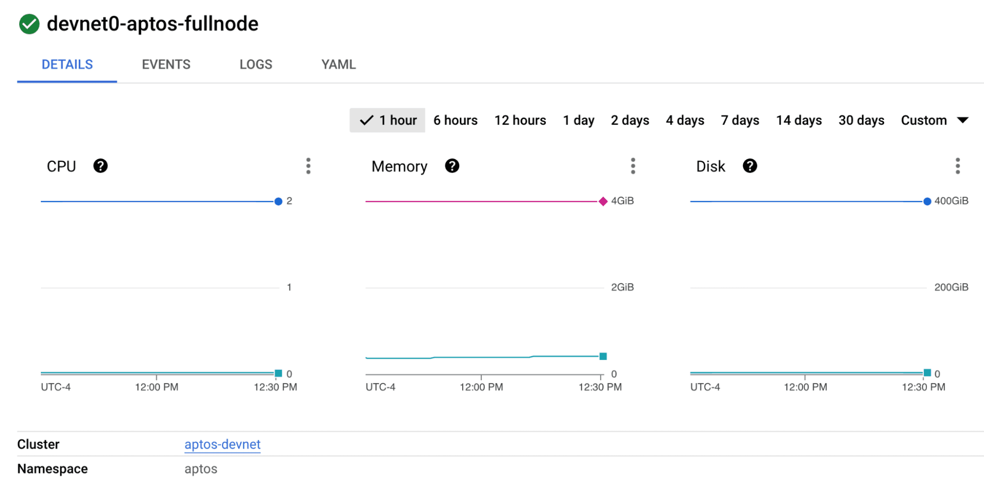 GKE Workloads Pod screenshot